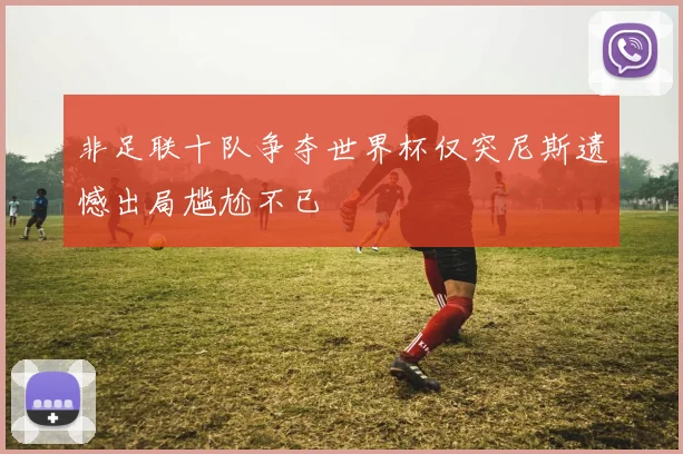 非足联十队争夺世界杯仅突尼斯遗憾出局尴尬不已