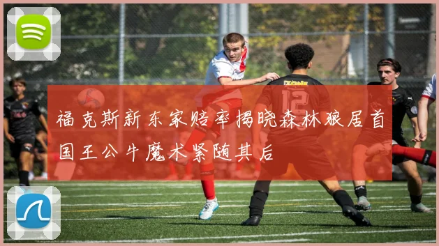 福克斯新东家赔率揭晓森林狼居首国王公牛魔术紧随其后